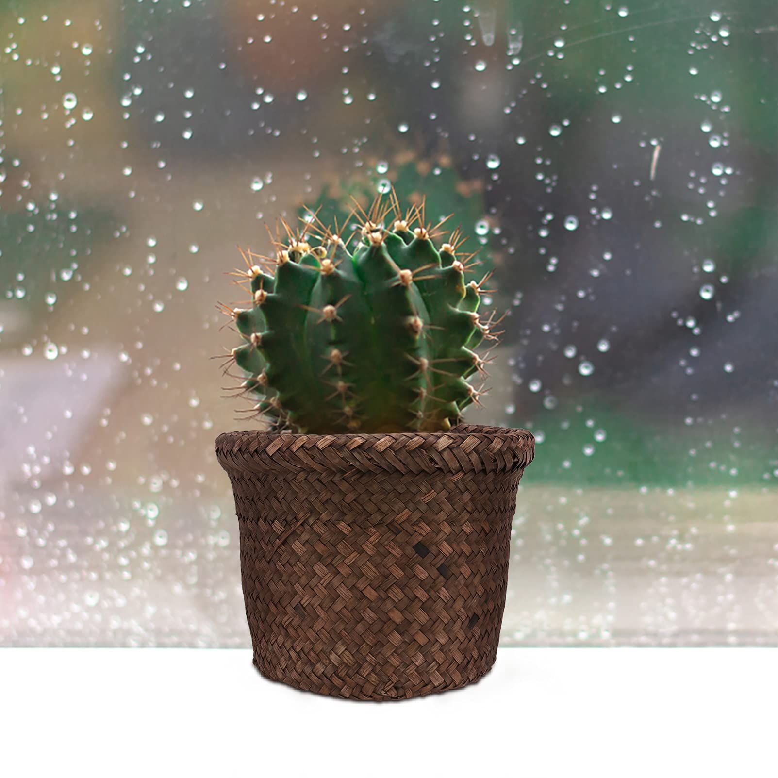 Seagrass Planter Basket Indoor view 3