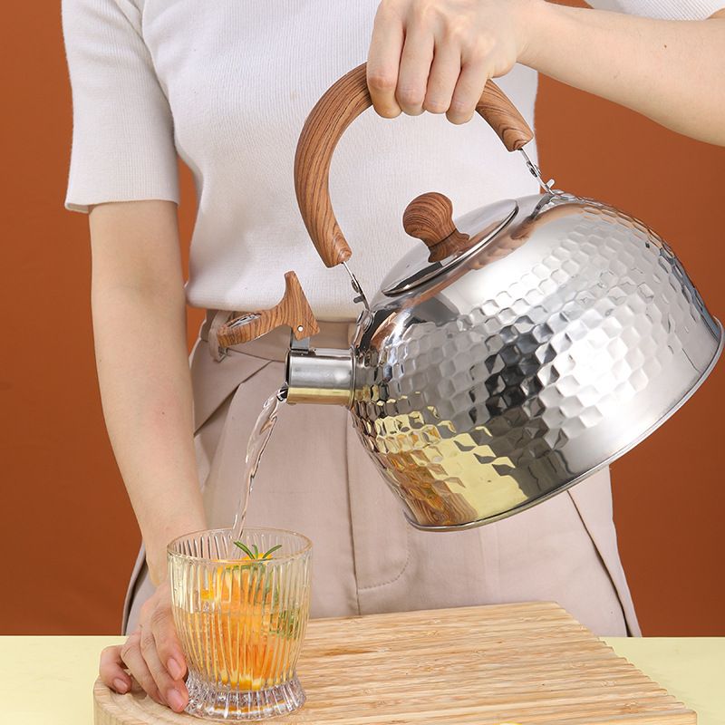 Loud Whistling Kettle for Boiling Water Coffee or Milk view 3