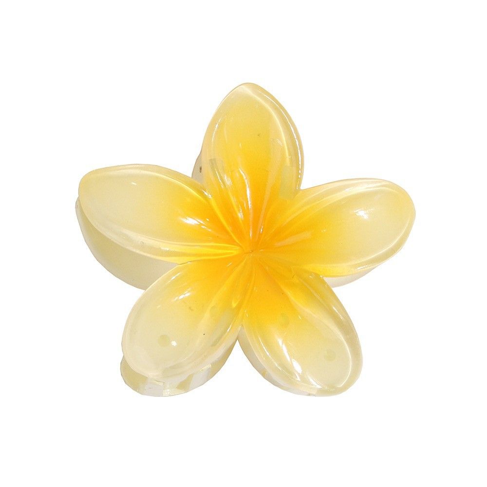 5 Pcs Hawaiian Claw Clips for Thick Hair view 3