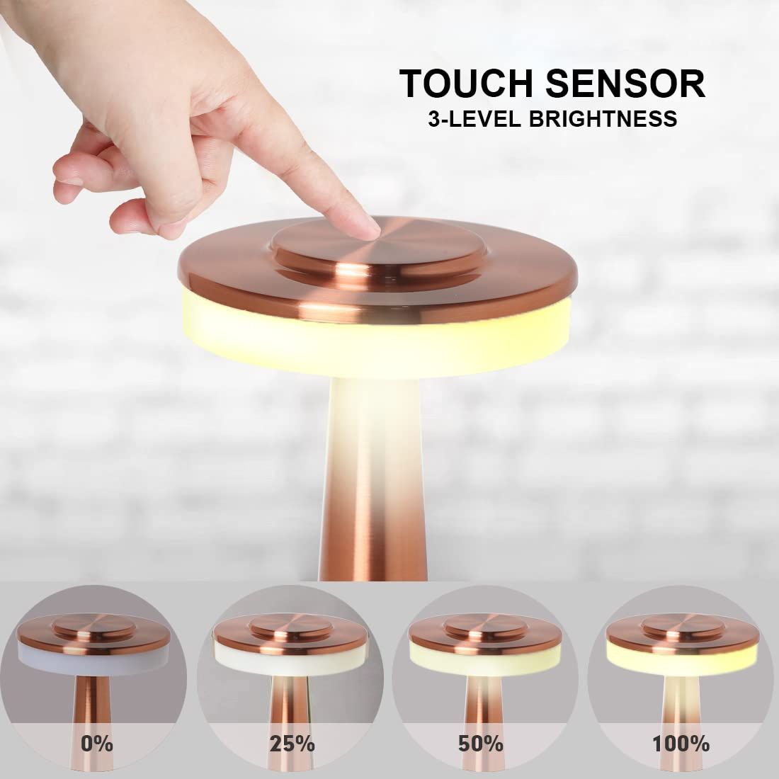 Touch Portable Cordless Desk Lamp — image 1