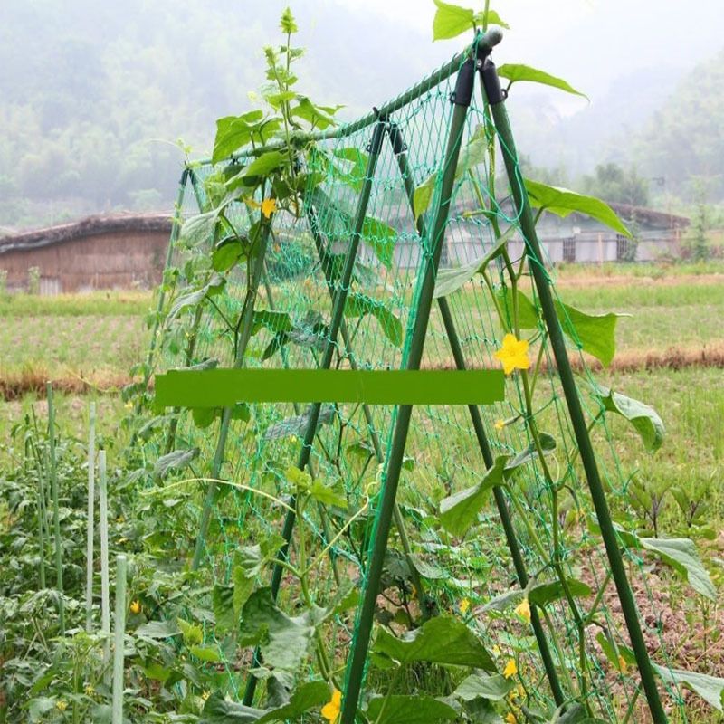 Garden Netting 1Pcs Garden Climbing Net Plant Trellis Plant net Green Strong — image 1