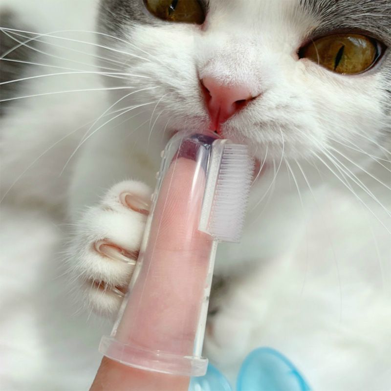 10 Pieces Dog Tooth Brushing Kit Finger Toothbrush for Dogs Cat Puppy view 2