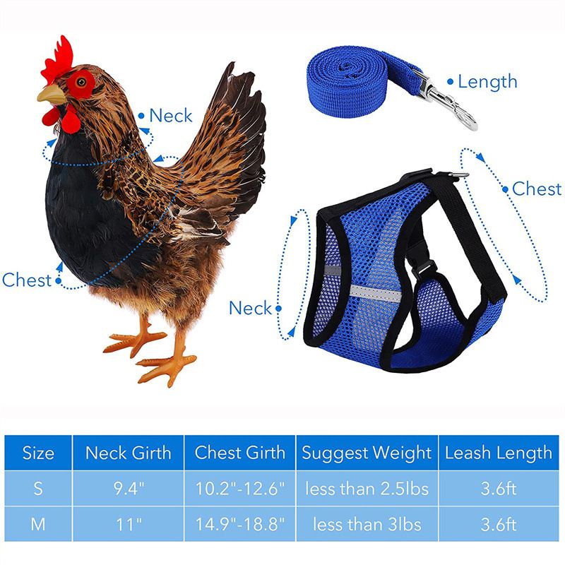 Chicken Harness with Leash view 3