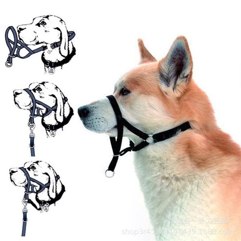 Soft Dog Head Collar, No Pull Training Tool for Small Medium Large Dogs on view 2