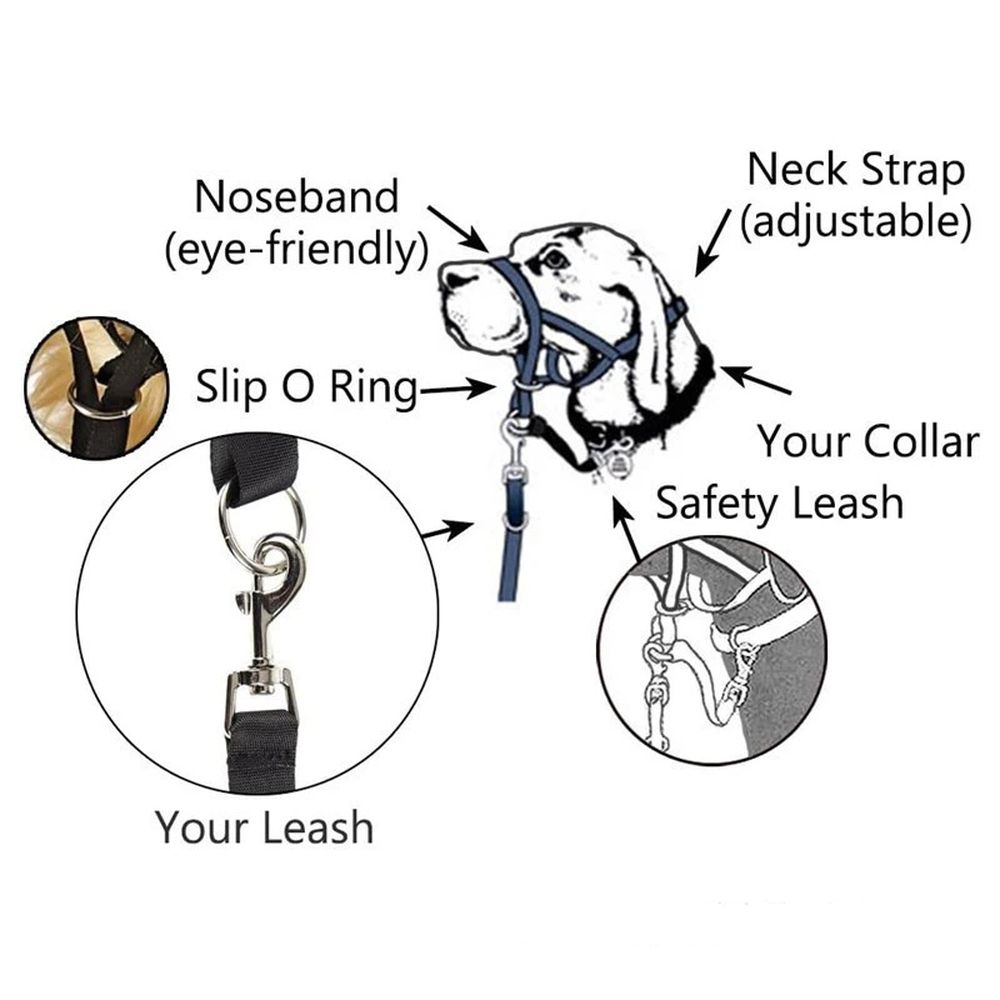 Soft Dog Head Collar, No Pull Training Tool for Small Medium Large Dogs on view 4