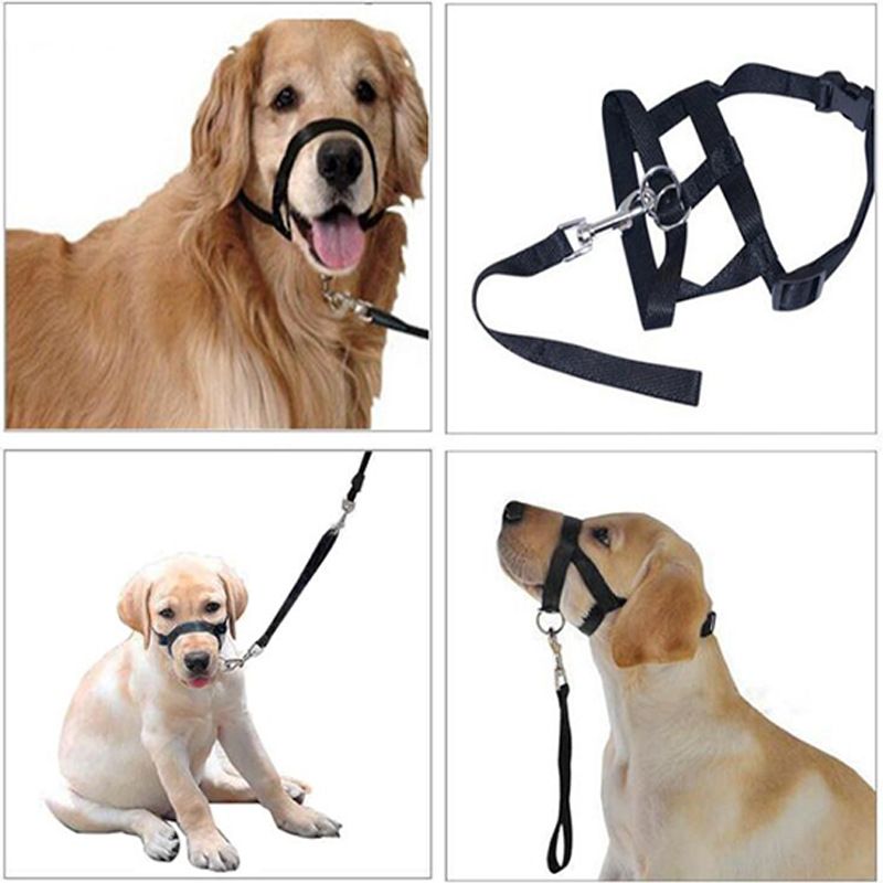 Soft Dog Head Collar, No Pull Training Tool for Small Medium Large Dogs on view 5
