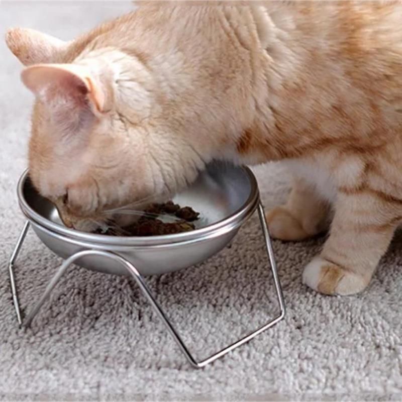 Elevated Dog Bowls, Dog Bowl with Stainless Steel Bowl, High Capacity Dog Food view 4
