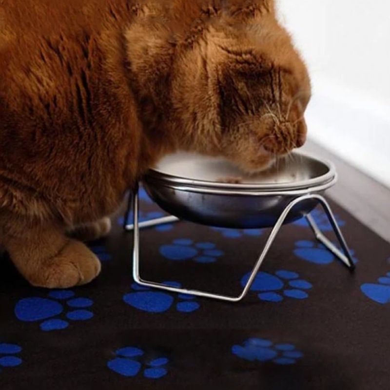 Elevated Dog Bowls, Dog Bowl with Stainless Steel Bowl, High Capacity Dog Food view 5