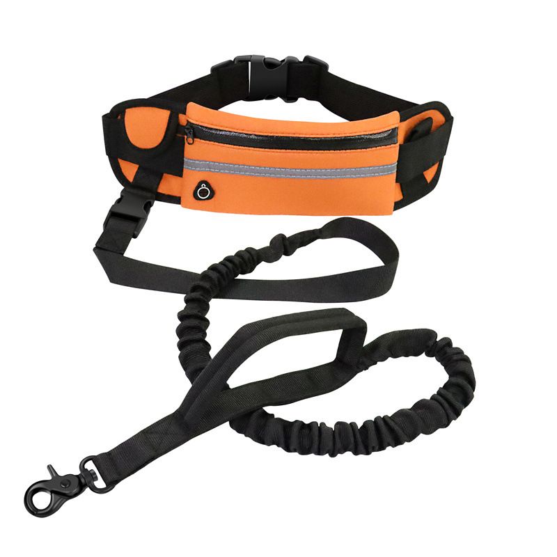 Hands Free Dog Leash for Running Walking