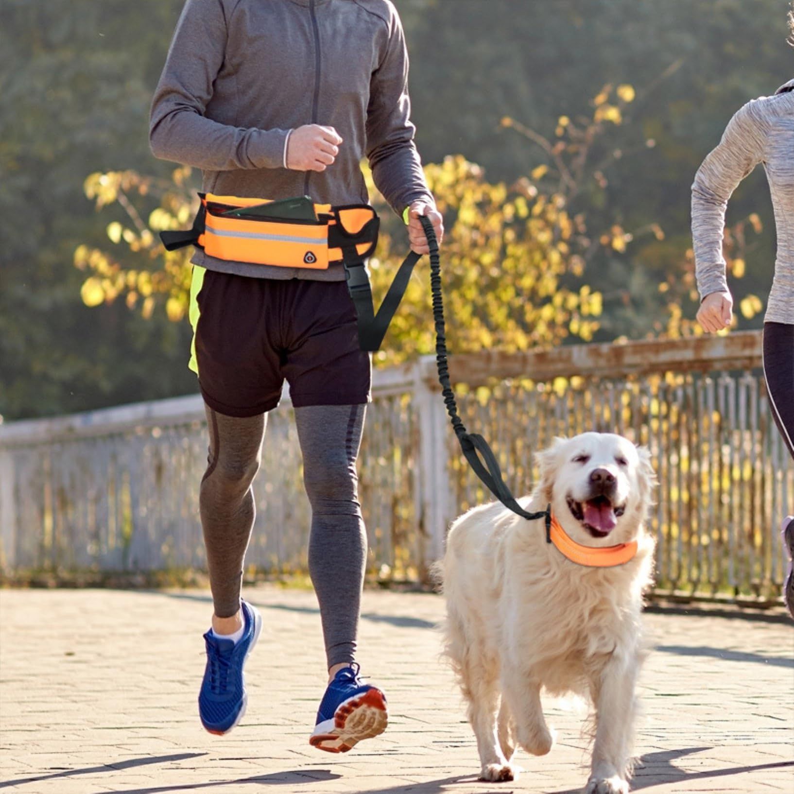 Hands Free Dog Leash for Running Walking view 3