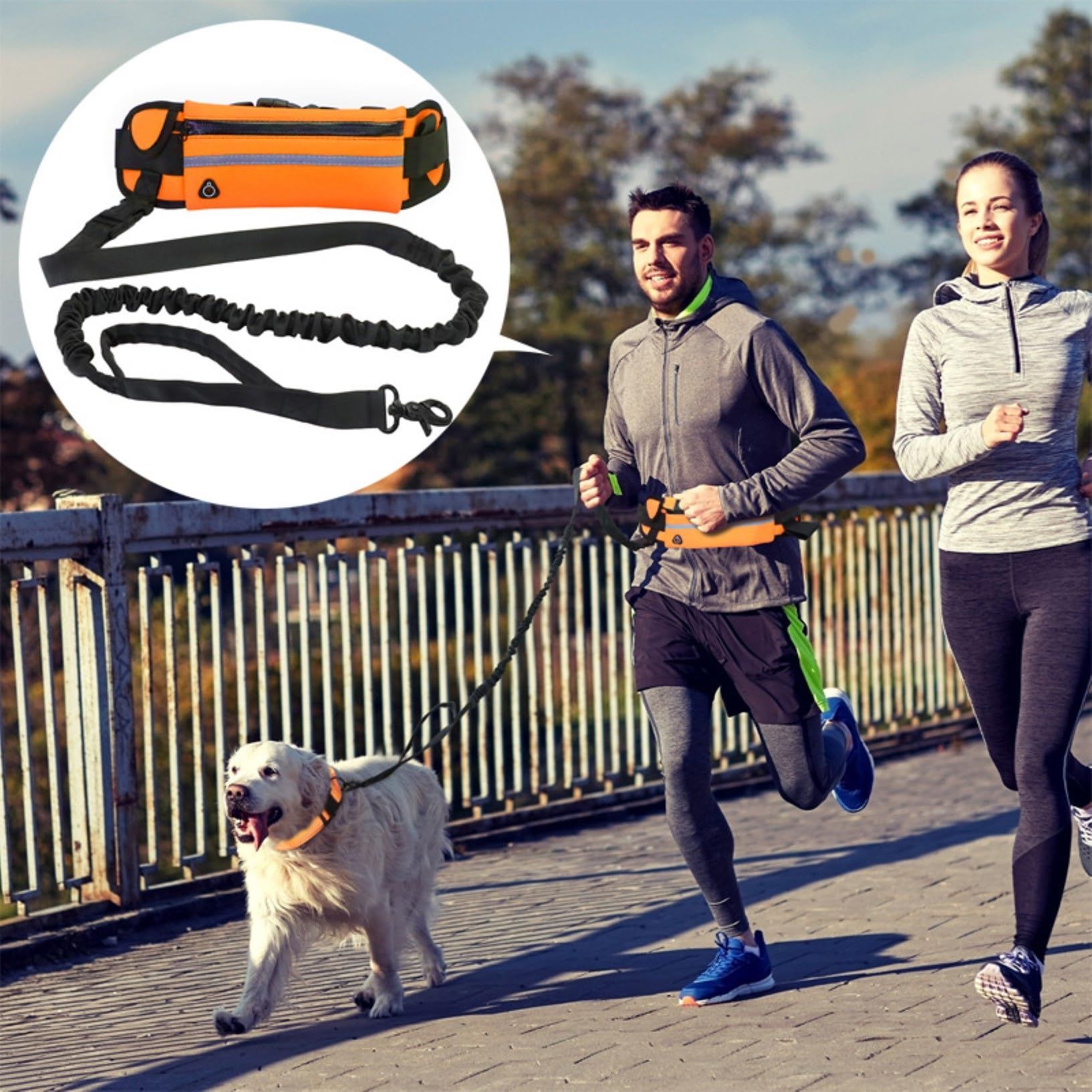 Hands Free Dog Leash for Running Walking view 5