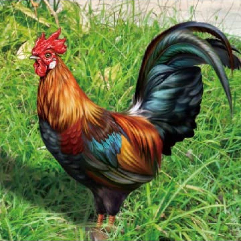 Metal Garden Statues Sculptures Decorative Garden Stakes Yard Chicken view 4