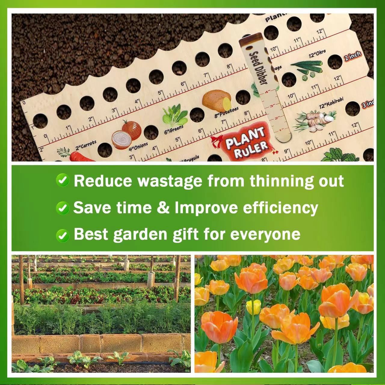Wooden Plant Ruler with Seed. Multifunction Seed Spacing Ruler with Planting view 2