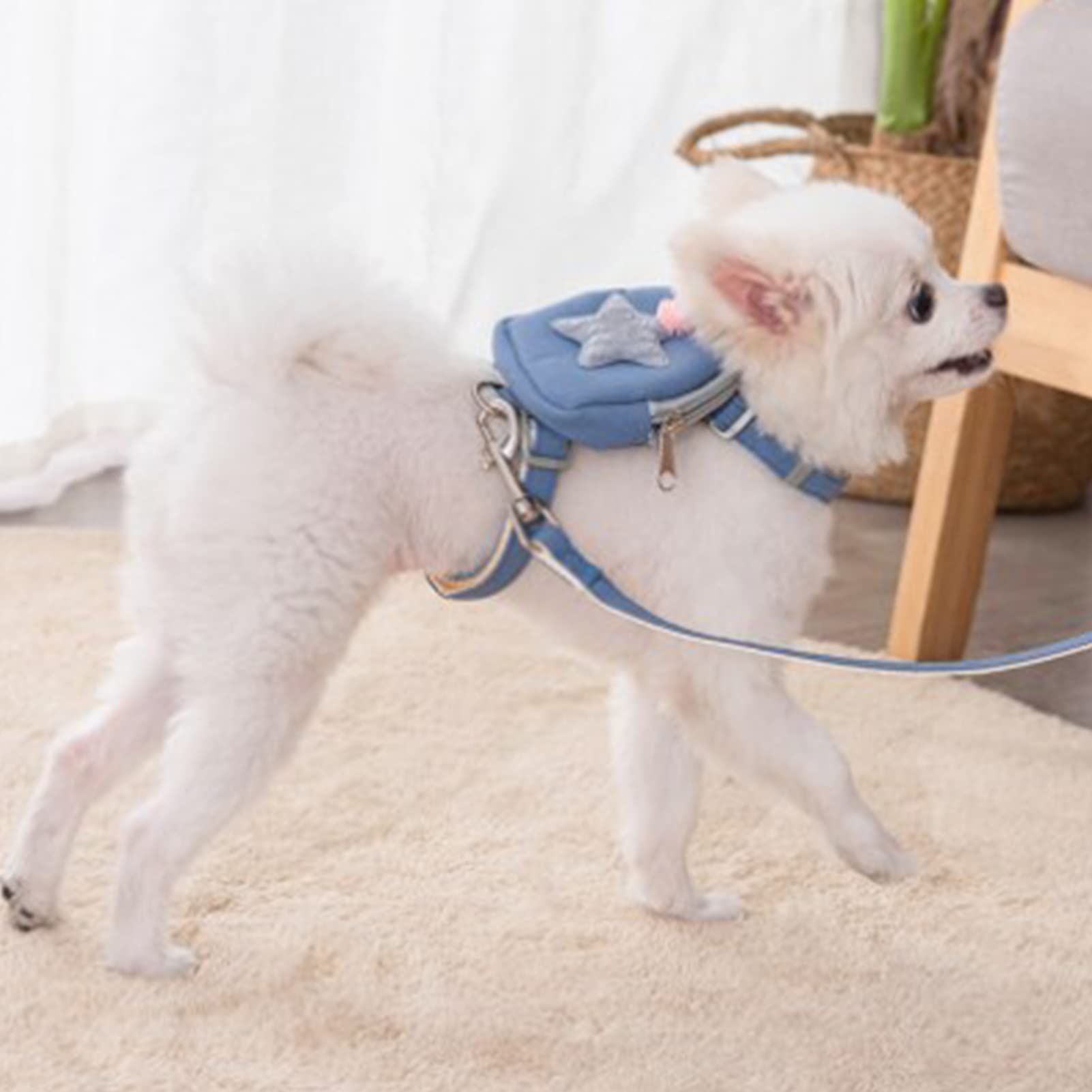 Pet Harness Leash Set, Cute Backpack Cat Vest Belt Leash Snap Design Pet view 4