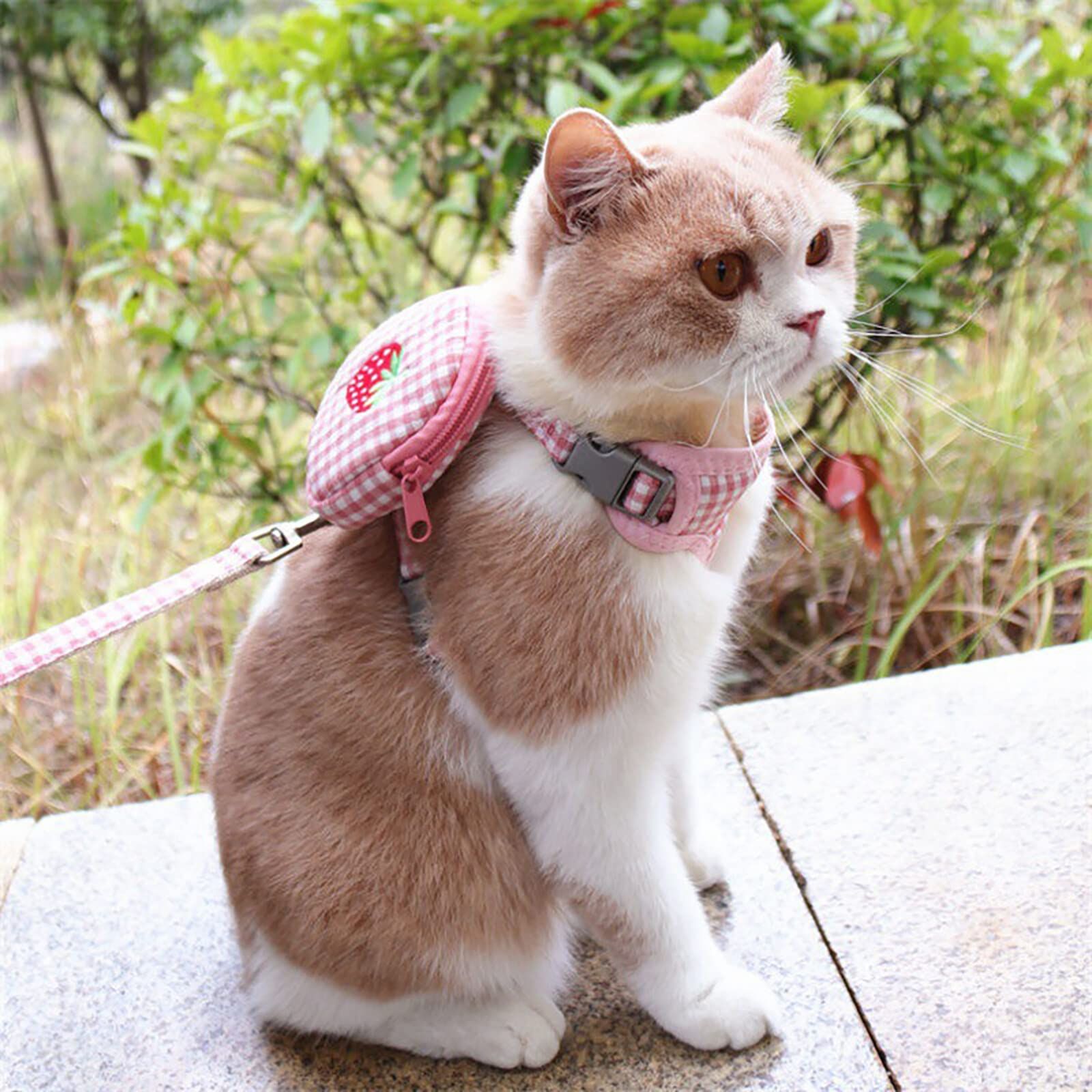 Pet Backpack Harness with Leash for Cat Small Dog Self Mini Carrier Back Pack view 5