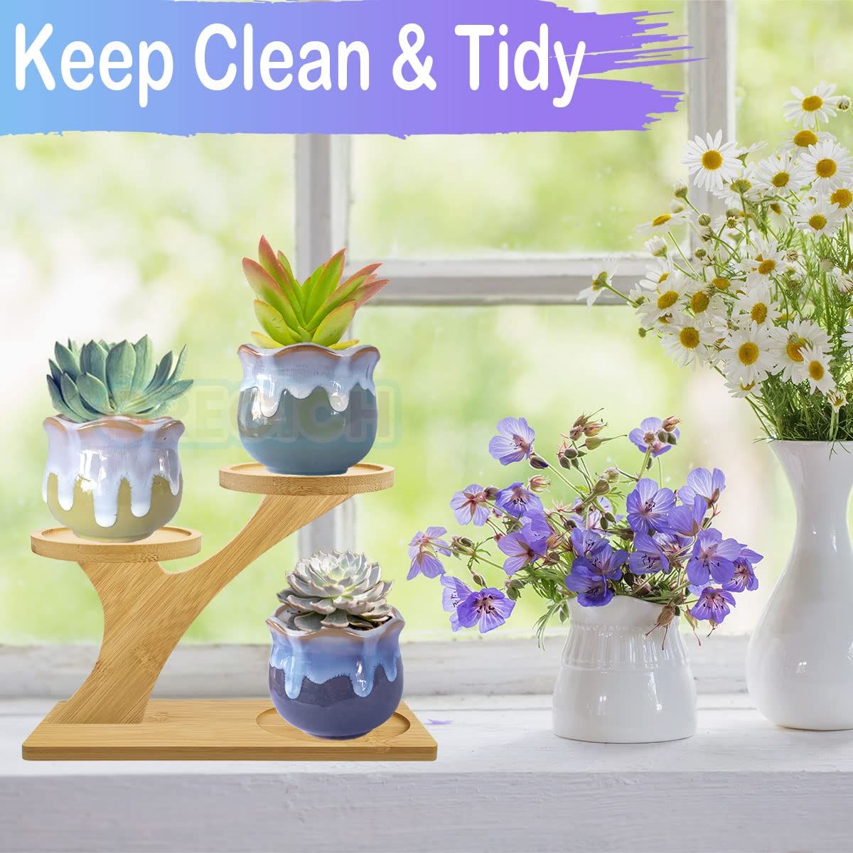 Small Tabletop Succulent Plant Stands for Desk Window Sill view 2