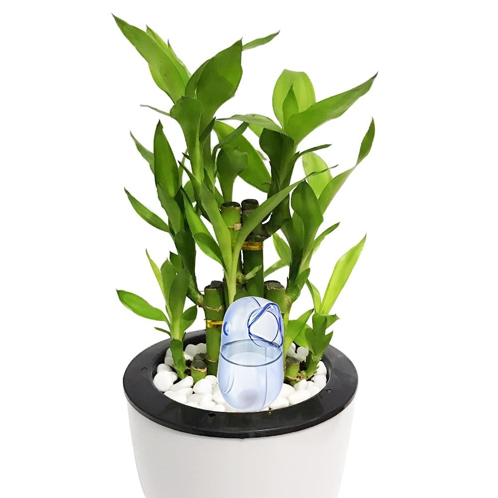 4 Pcs Self Watering Spike Globes Devices Plant Waterer Planter Automatic view 2