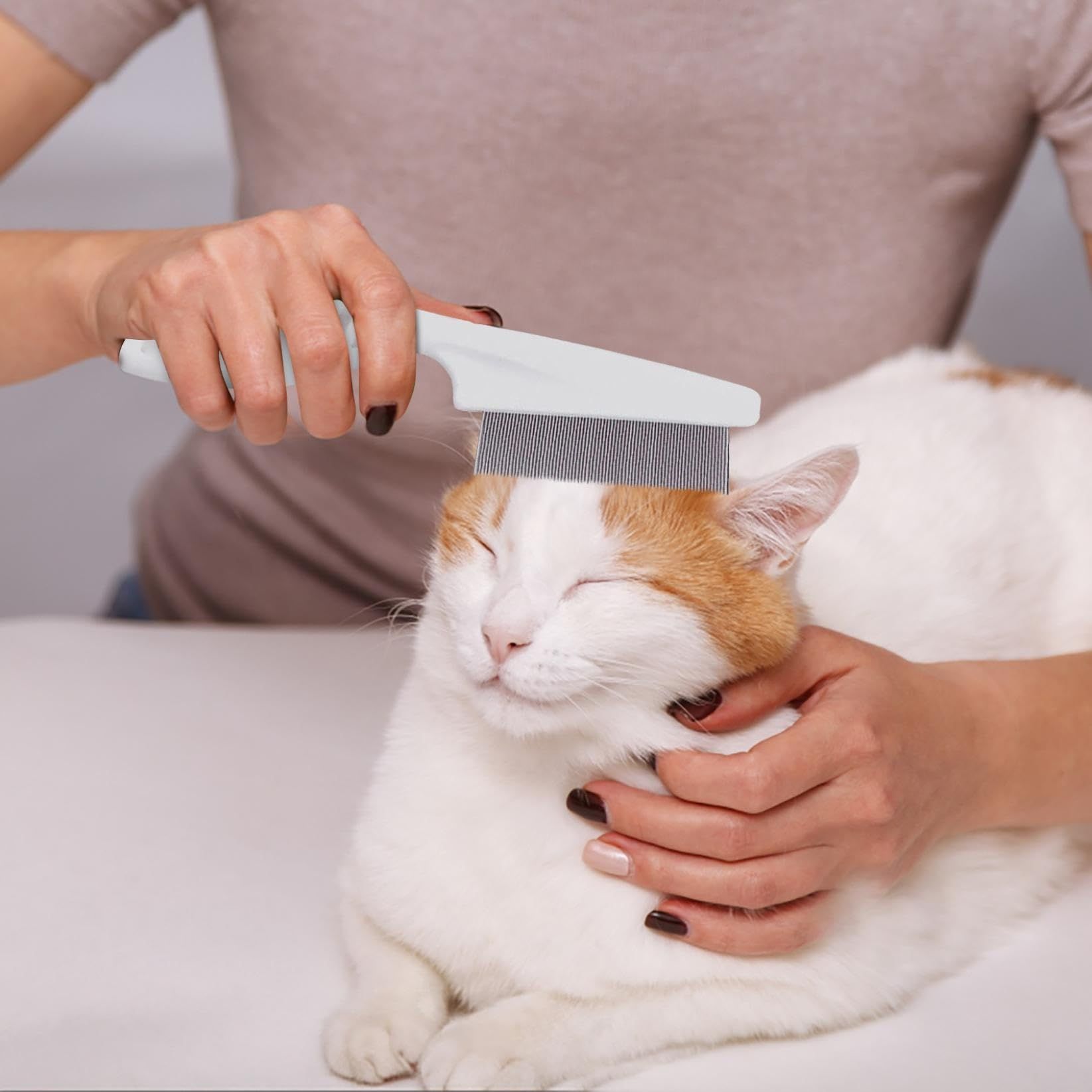 3Pcs Flea Comb for Dogs and Cats view 3