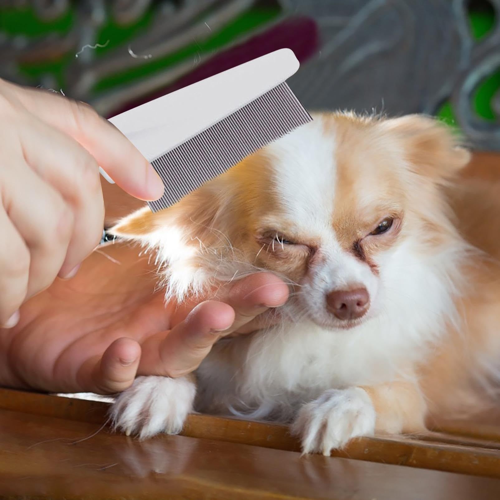 3Pcs Flea Comb for Dogs and Cats view 5