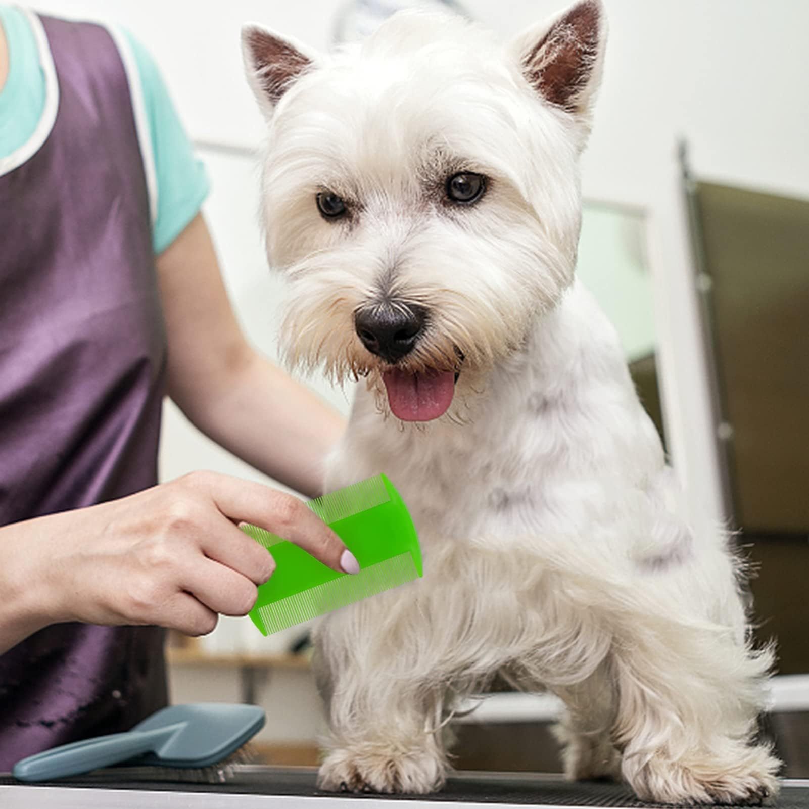 4 Pack Double sided Pet Combs view 5