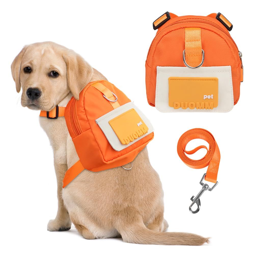 Dog Backpack for Small Dogs to Wear