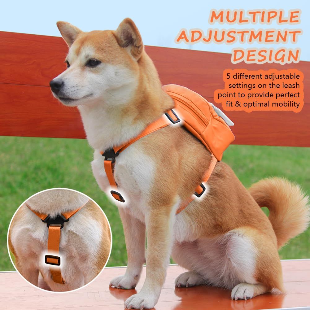 Dog Backpack for Small Dogs to Wear view 2