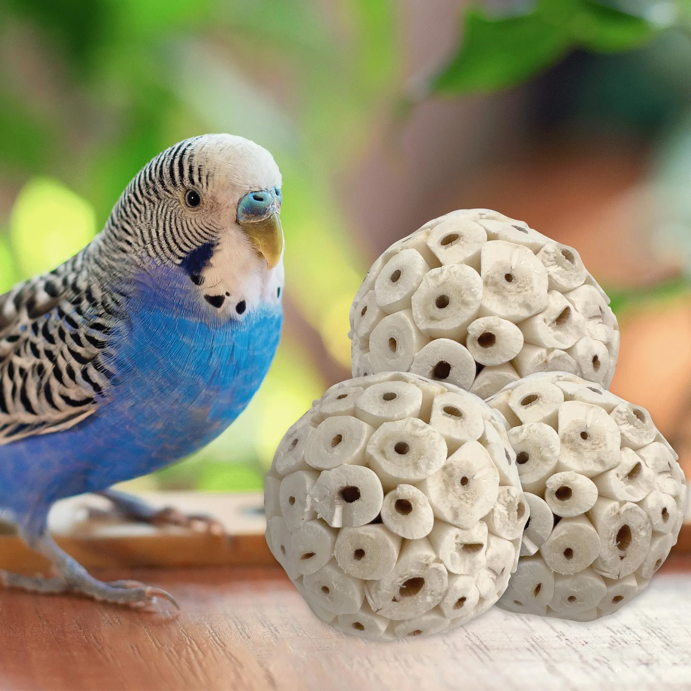 3pcs Handmade Natural Sola Wood Bird Foot Toys