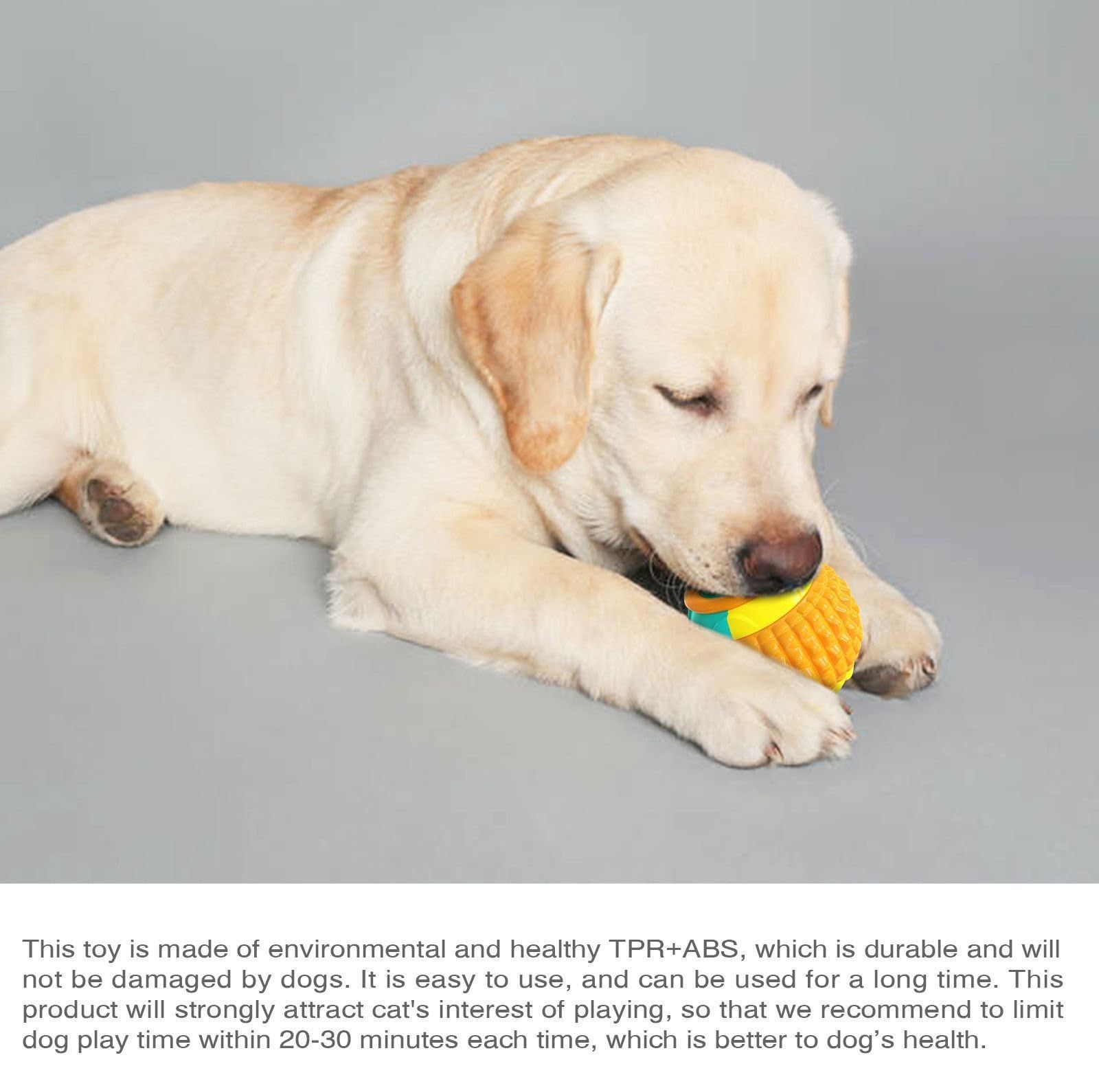 Interactive Food Toy for Dog view 5