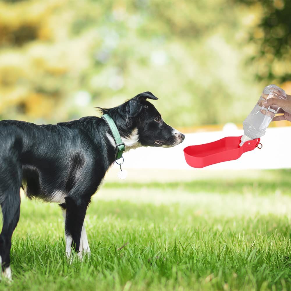 Dog Water Bottle Portable 500ml Dog Walking Travel Bottle Leak Proof Foldable view 5