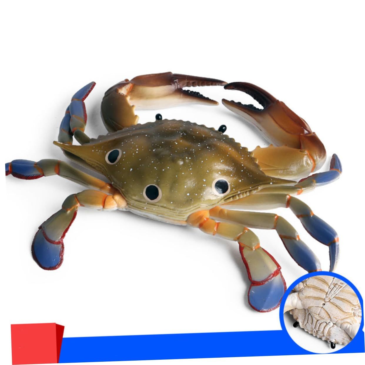 1 Piece Marine Ornament Sea Animal Model Crab Swimming Toy Ornament Models view 3