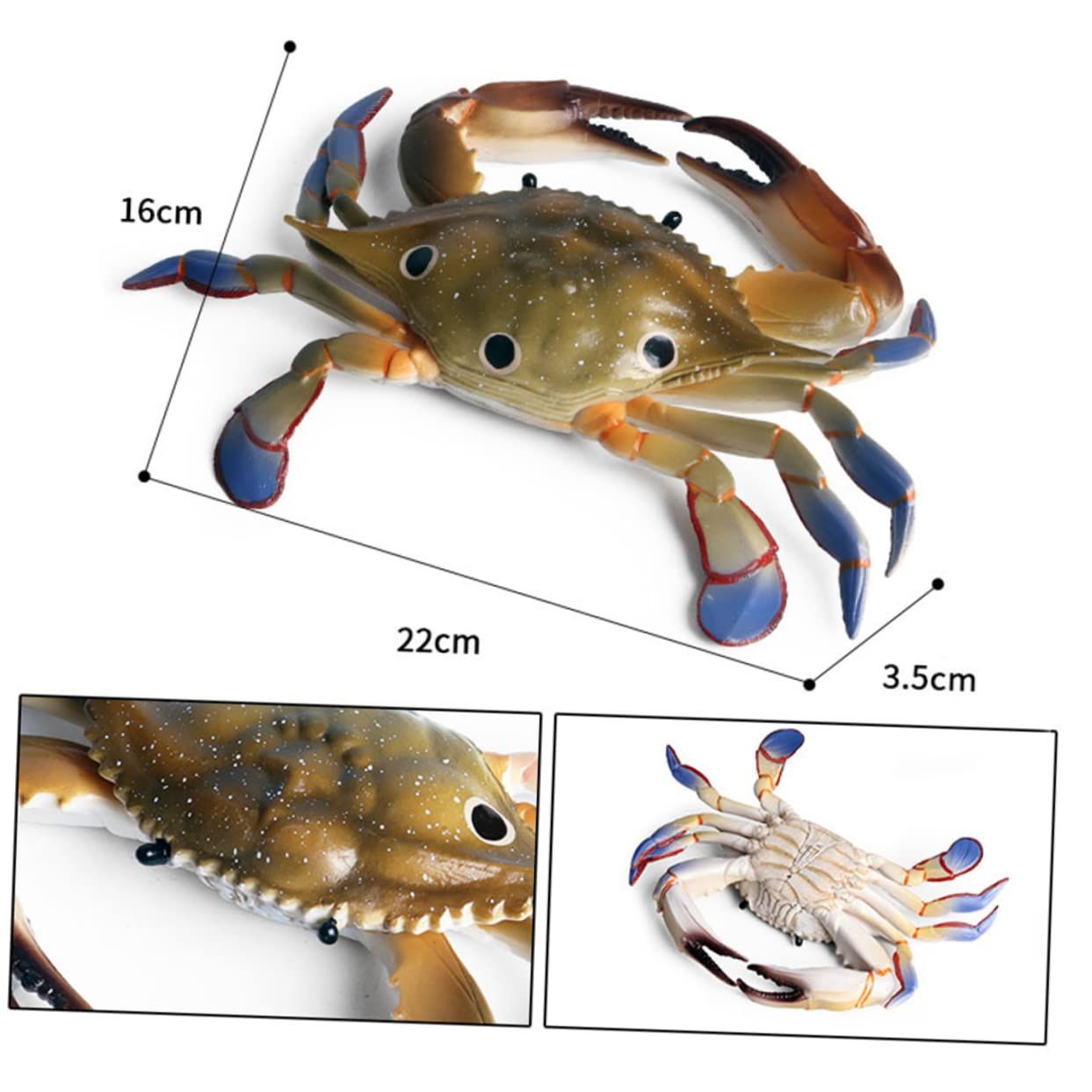 1 Piece Marine Ornament Sea Animal Model Crab Swimming Toy Ornament Models view 4