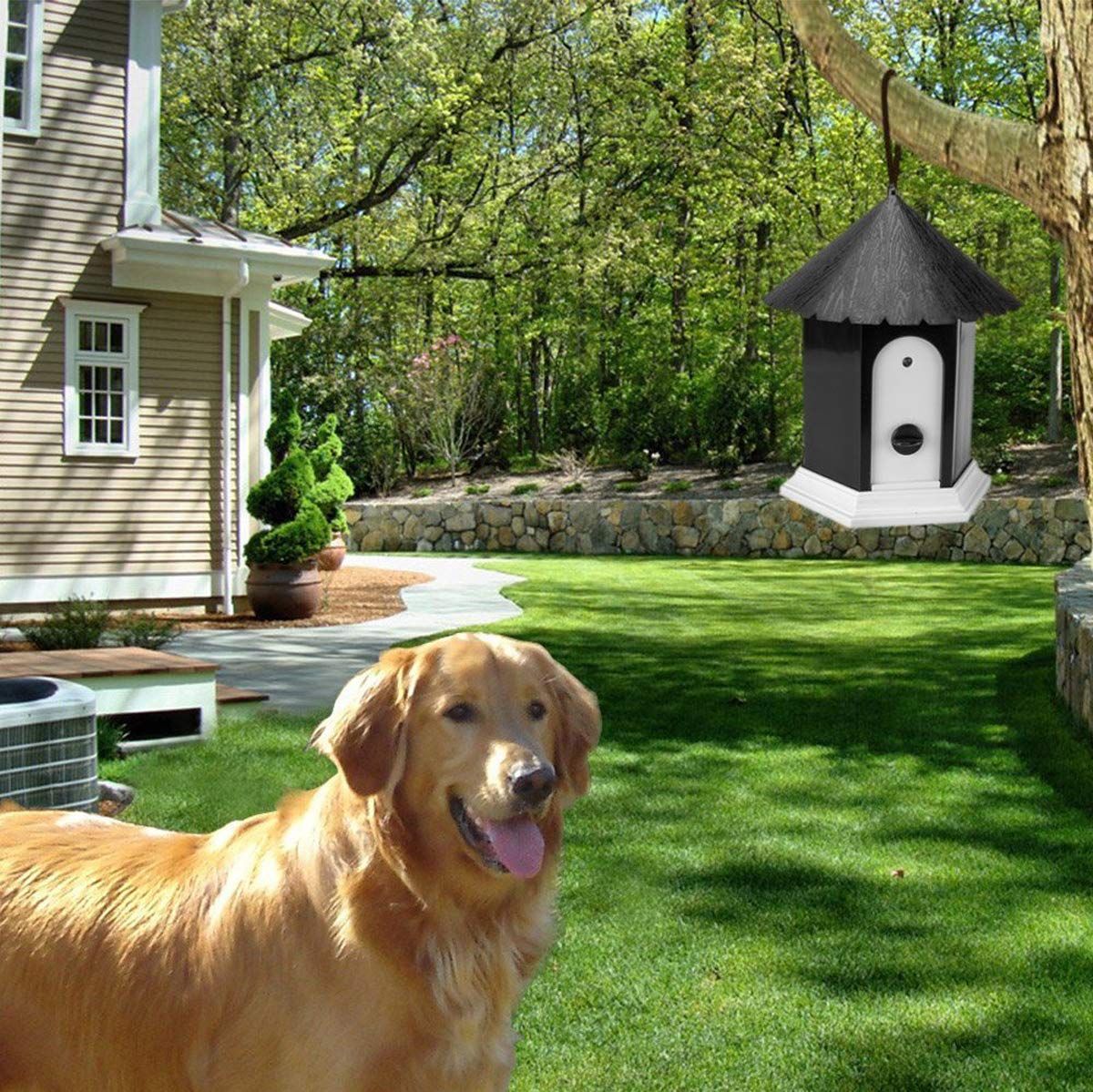 Anti Barking Device, Bark Box Dog Barking Control Devices, Ultrasonic Sonic view 3