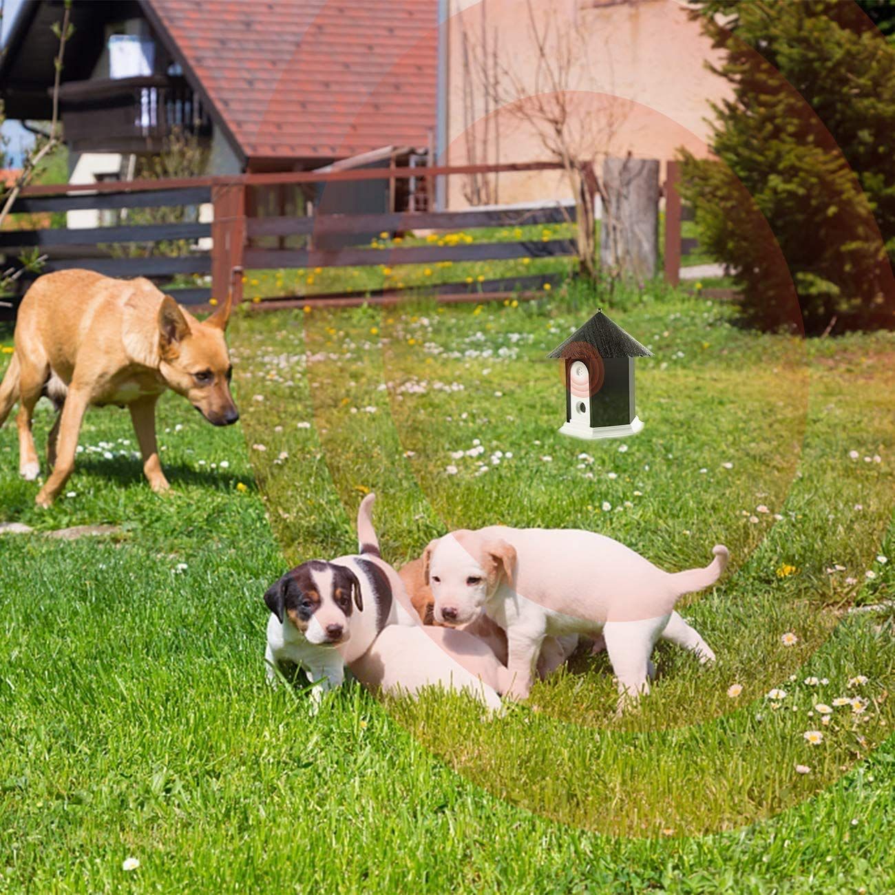 Anti Barking Device, Bark Box Dog Barking Control Devices, Ultrasonic Sonic view 4