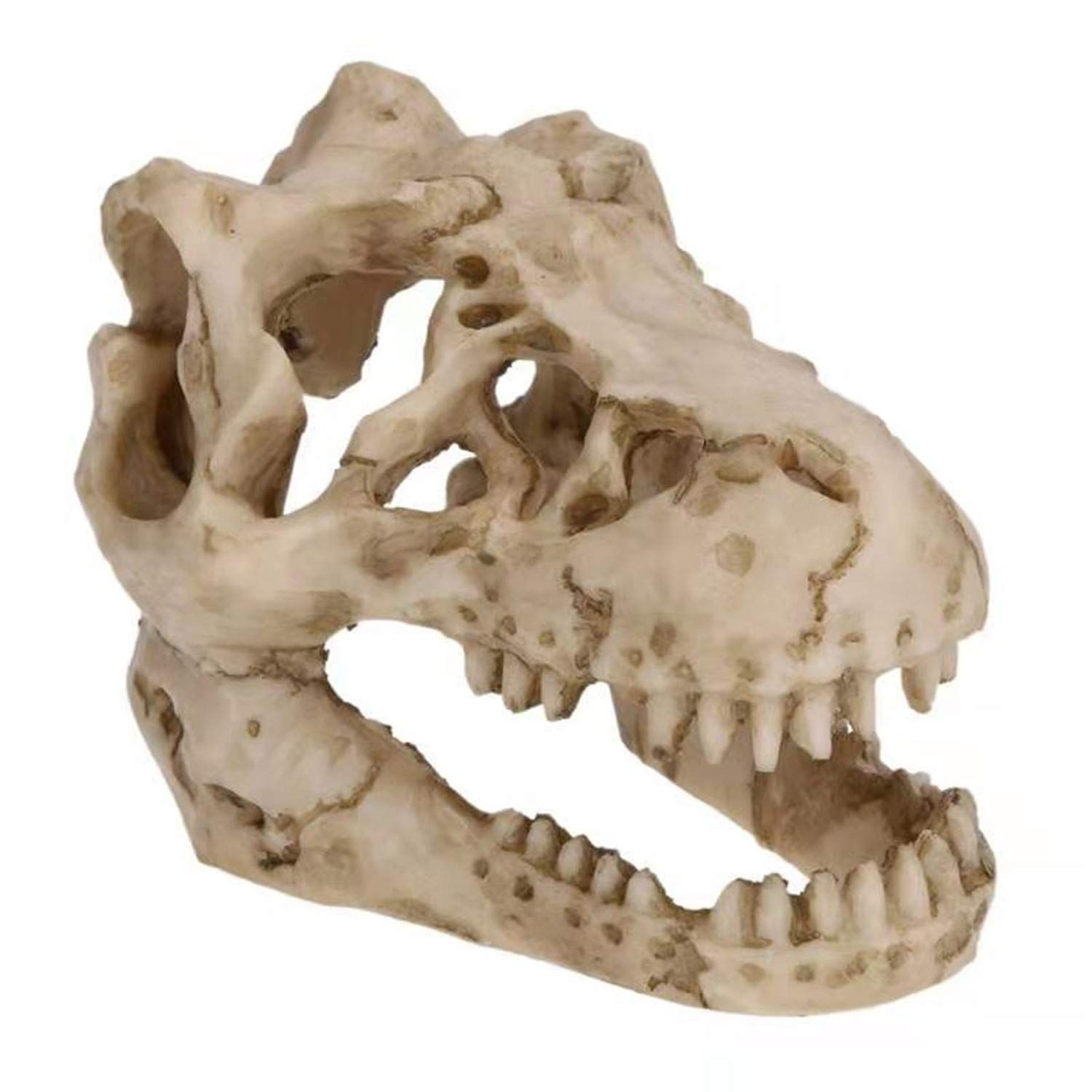 Aquarium Decoration Small Resin Dinosaur Skull Skeleton Fish Tank Aquarium