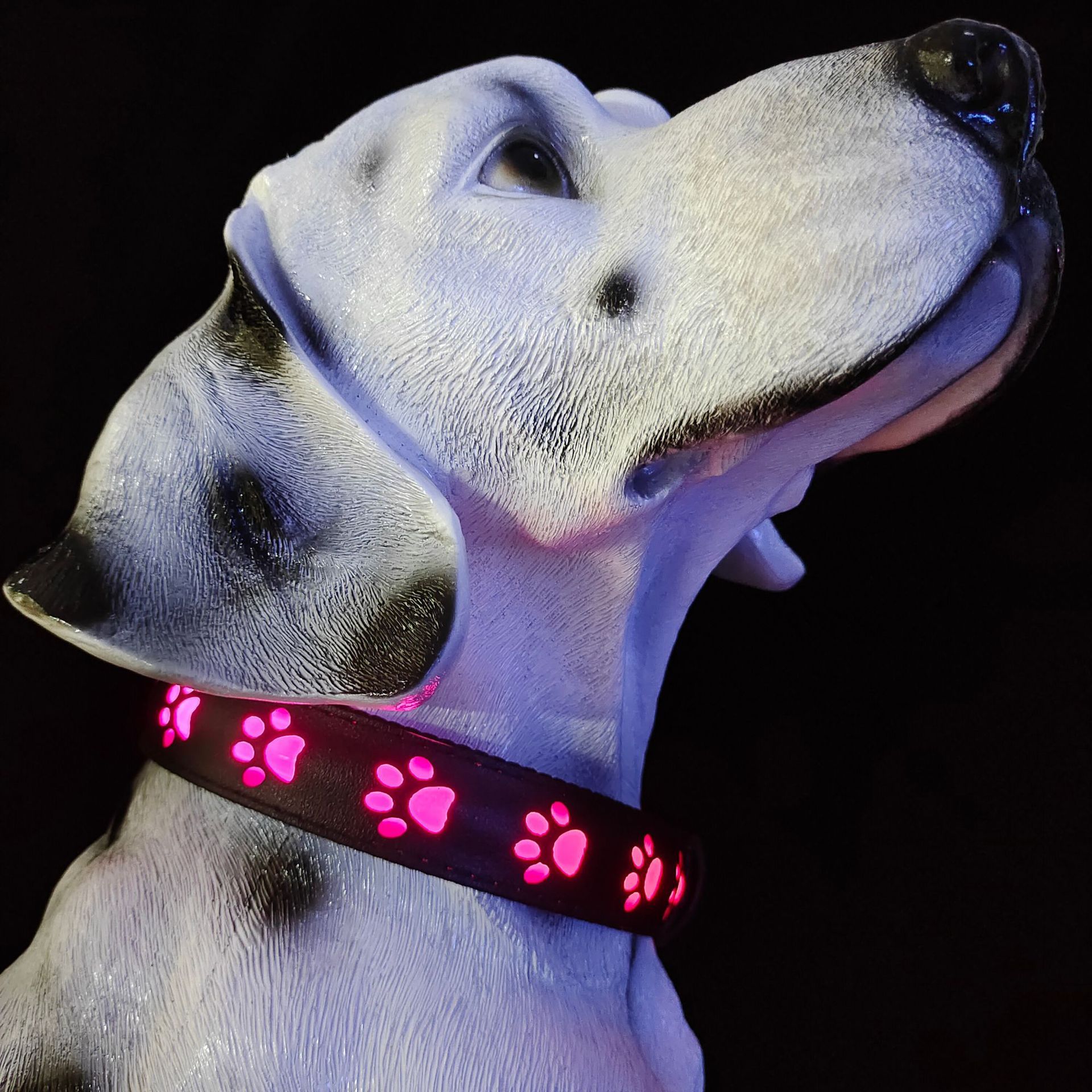 Newest LED Dog Collar, Rechargeable 7 Modes Light Up Collars, Waterproof Dog view 3