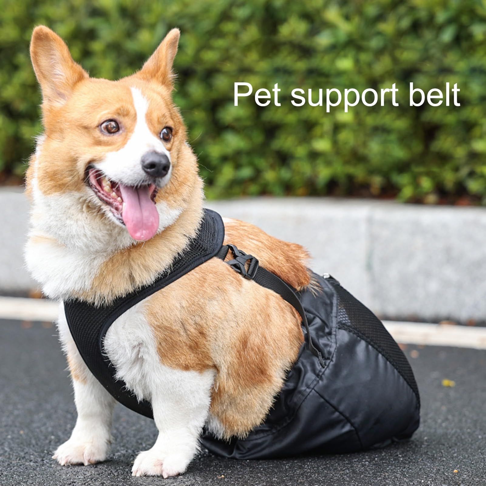 Drag Bag for Paralyzed Pets view 2