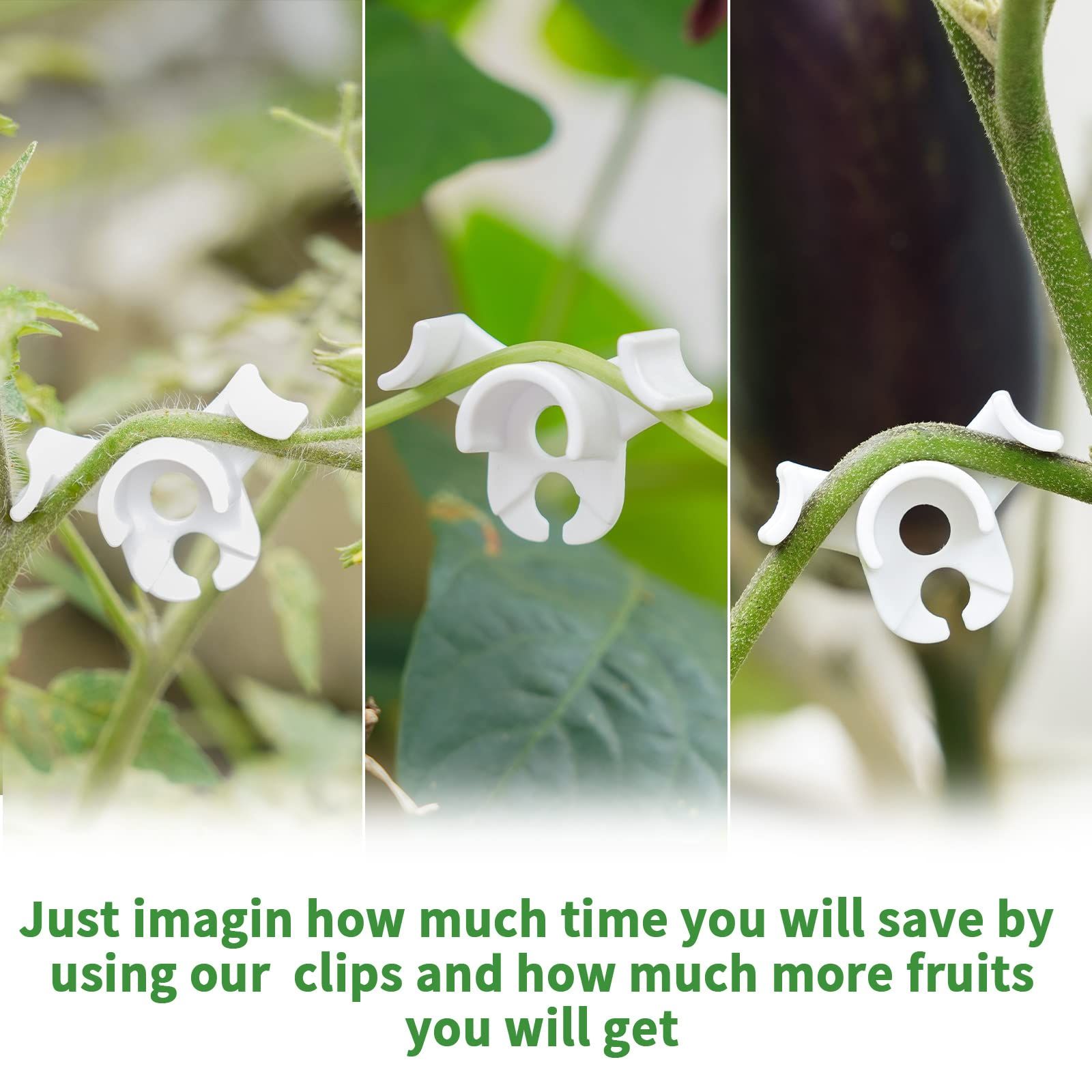 20 PCS Low-Pressure Plant Training Clip view 2