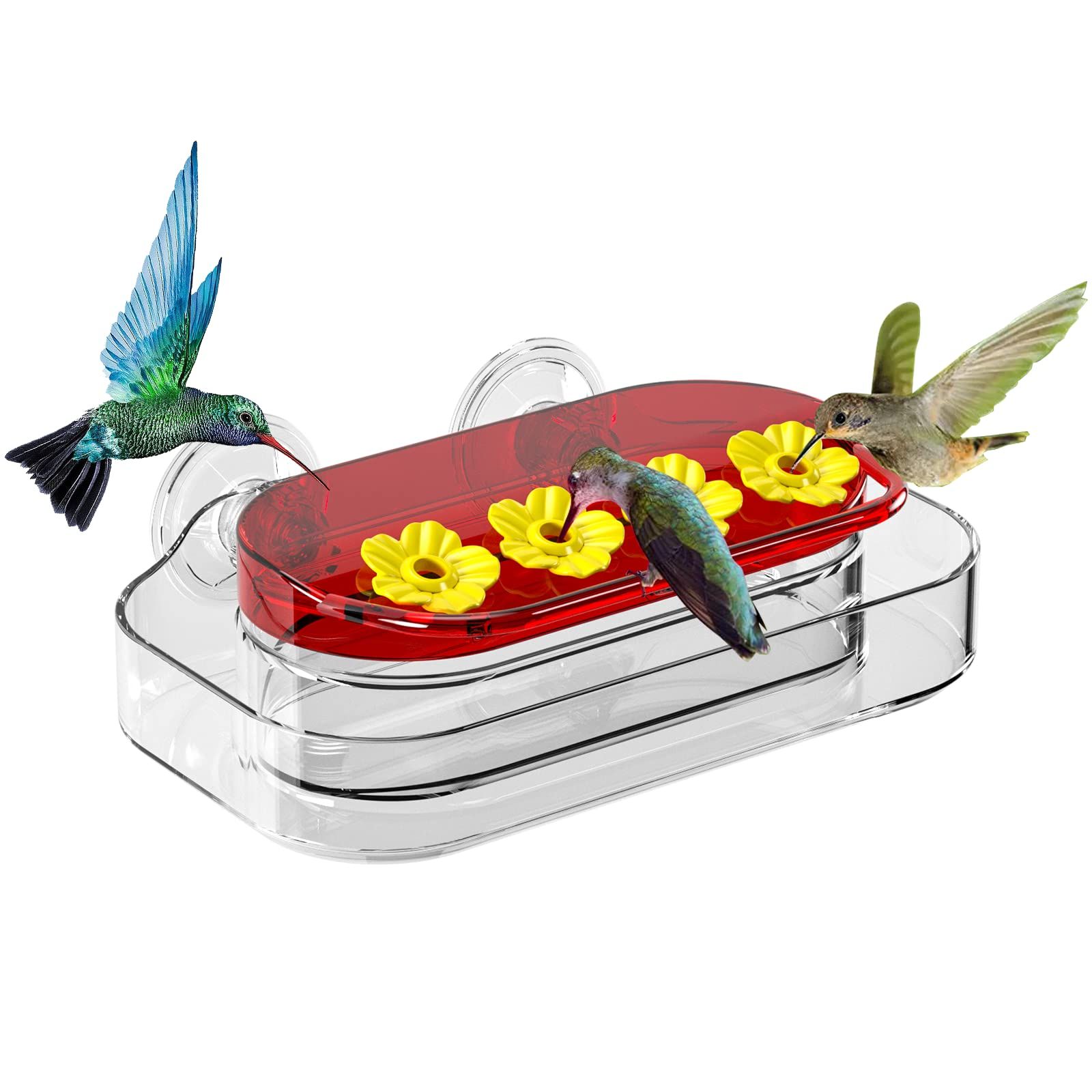 Window Hummingbird Feeder