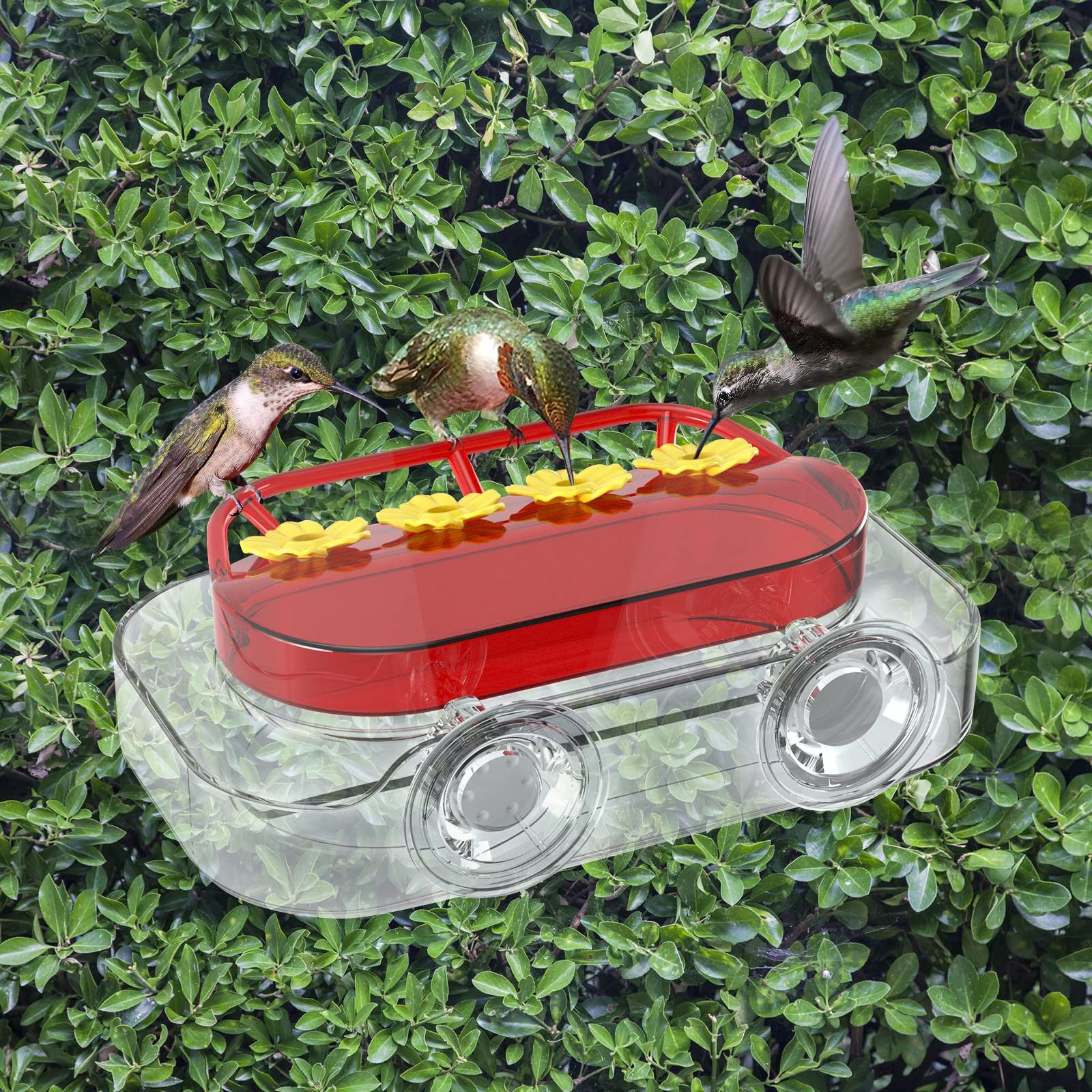 Window Hummingbird Feeder view 5