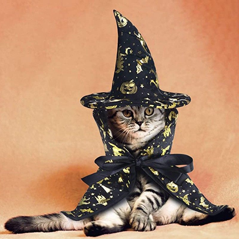 Halloween Pet Black Witch Cloak for Cosplay Party Decoration view 5