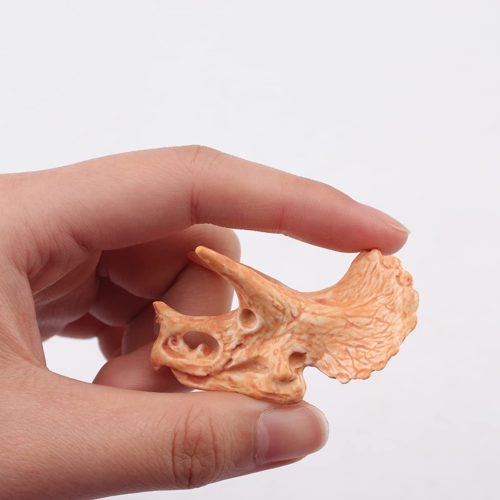 Mini Dinosaur Bones for Sandbox Kids Toys Realistic Fake Dinosaur Bones for view 2