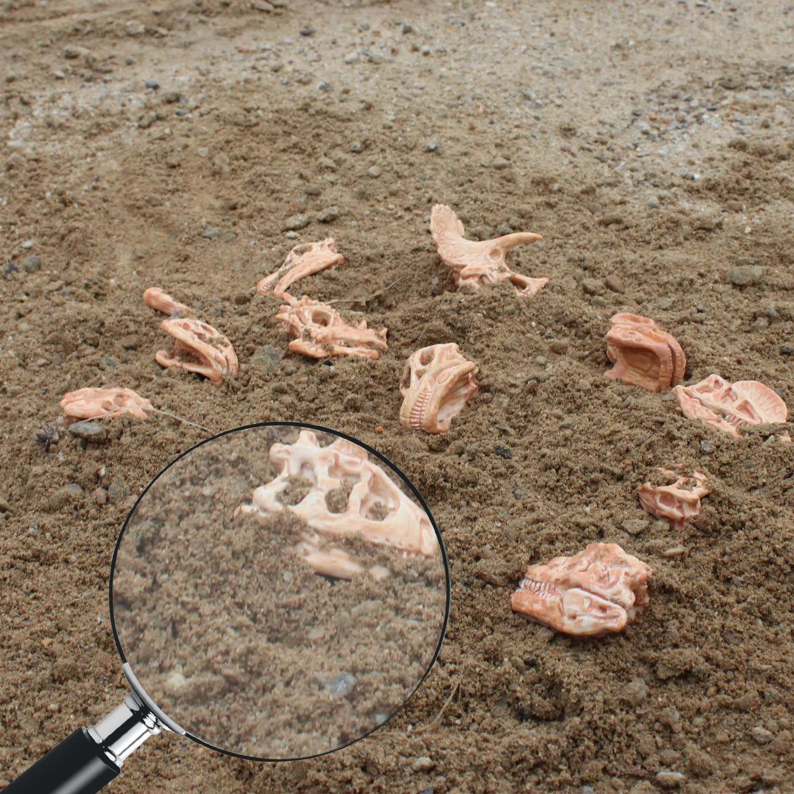 Mini Dinosaur Bones for Sandbox Kids Toys Realistic Fake Dinosaur Bones for view 4