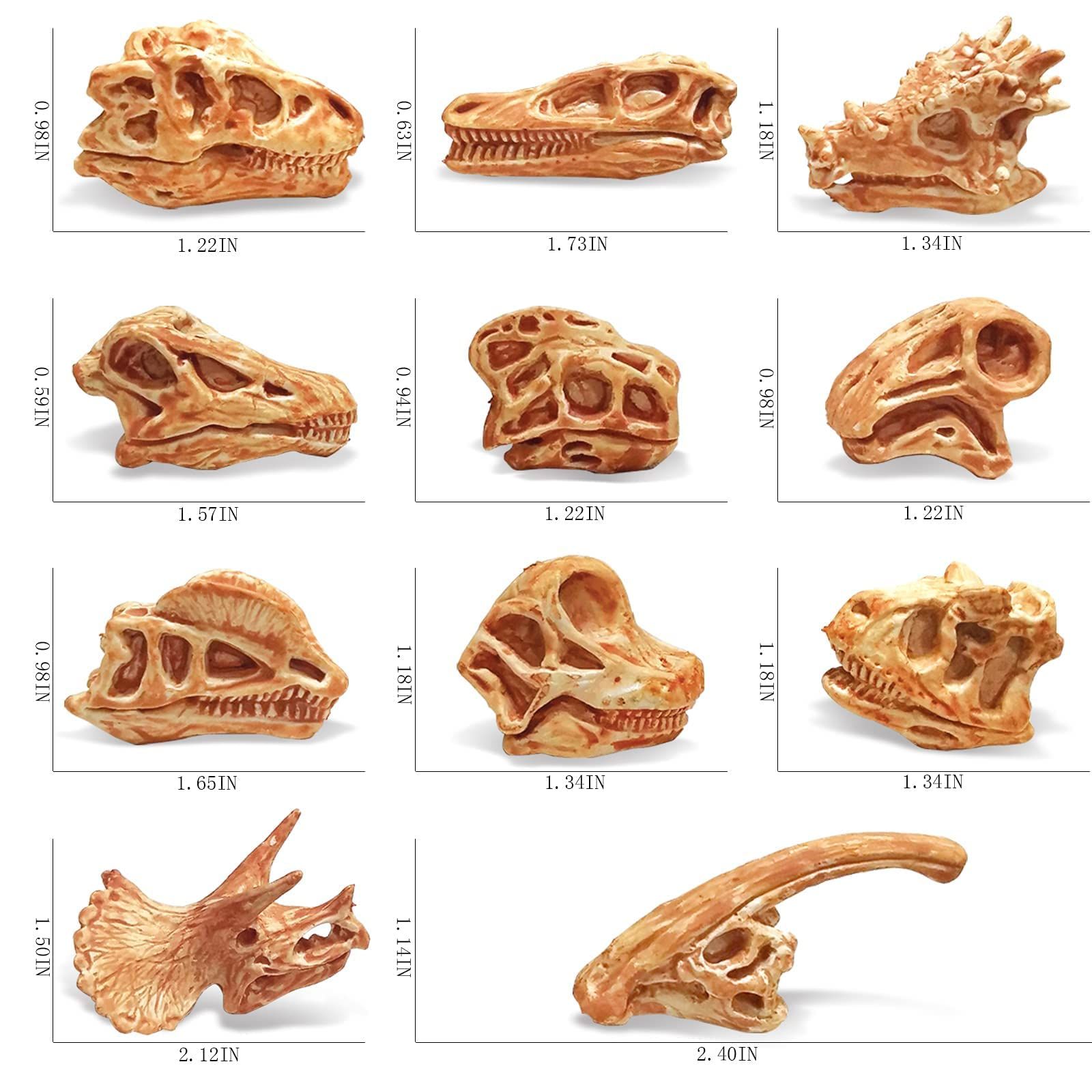 Mini Dinosaur Bones for Sandbox Kids Toys Realistic Fake Dinosaur Bones for view 5