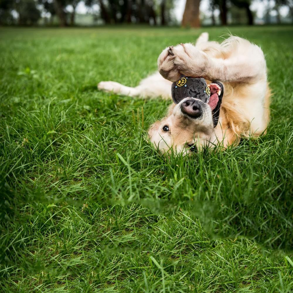 Transform Your pet's Mealtime with The Innovative Dog Food Dispenser Ball view 3