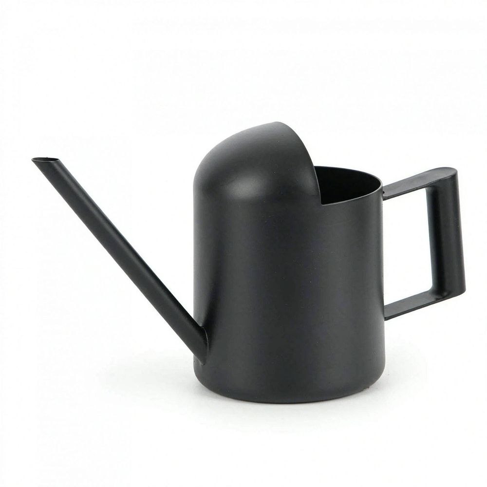 10oz/300ml Stainless Steel Long Spout Sprinkling Pot Small Watering Can for Plants
