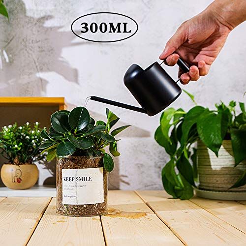 10oz/300ml Stainless Steel Long Spout Sprinkling Pot Small Watering Can for Plants view 2