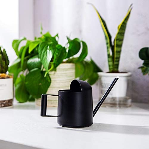 10oz/300ml Stainless Steel Long Spout Sprinkling Pot Small Watering Can for Plants view 3