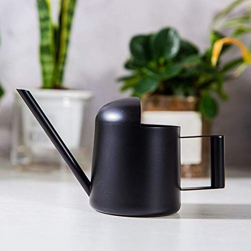 10oz/300ml Stainless Steel Long Spout Sprinkling Pot Small Watering Can for Plants view 5