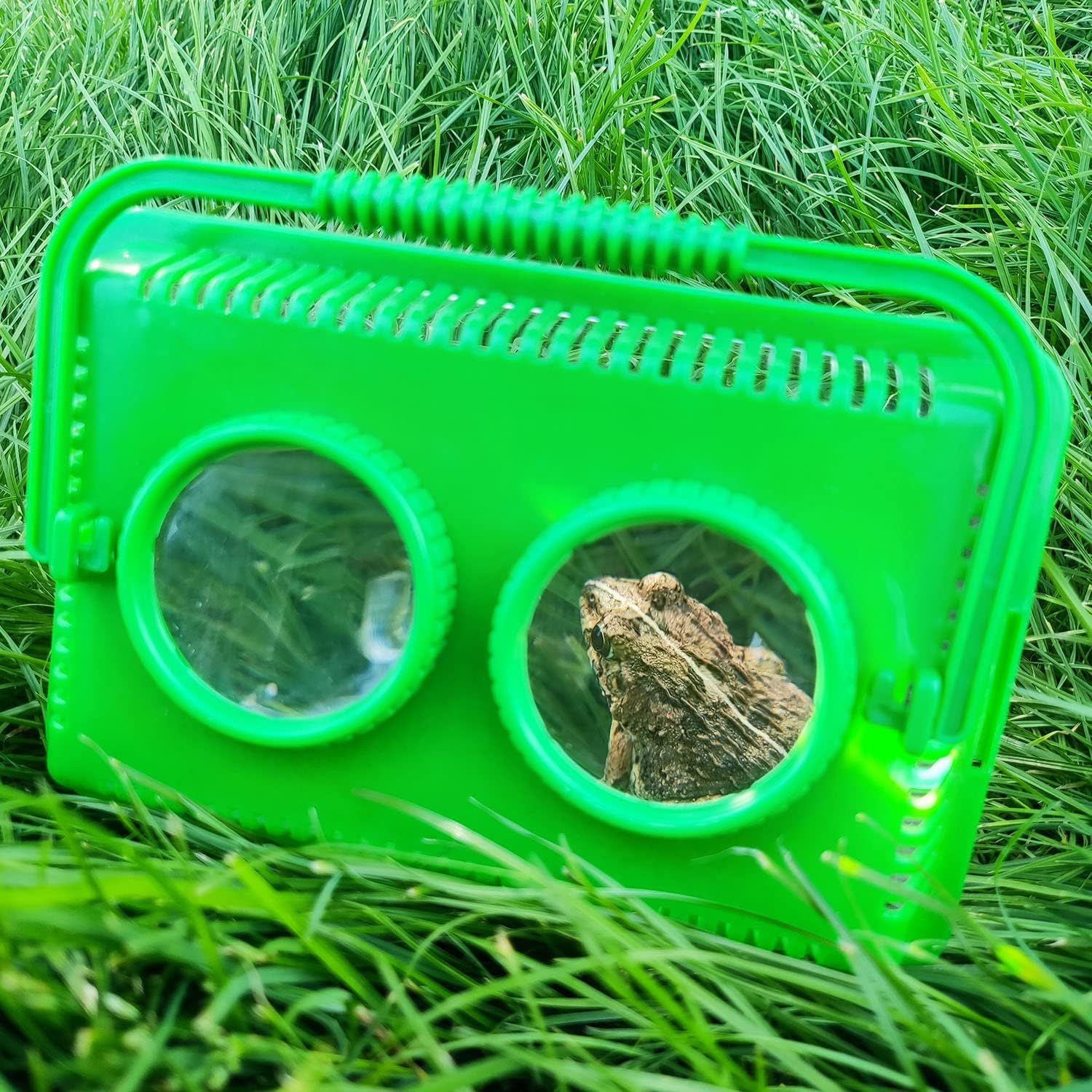 Kit for Kids,Educational Viewer Container with Tweezers Built in Double 5X view 4