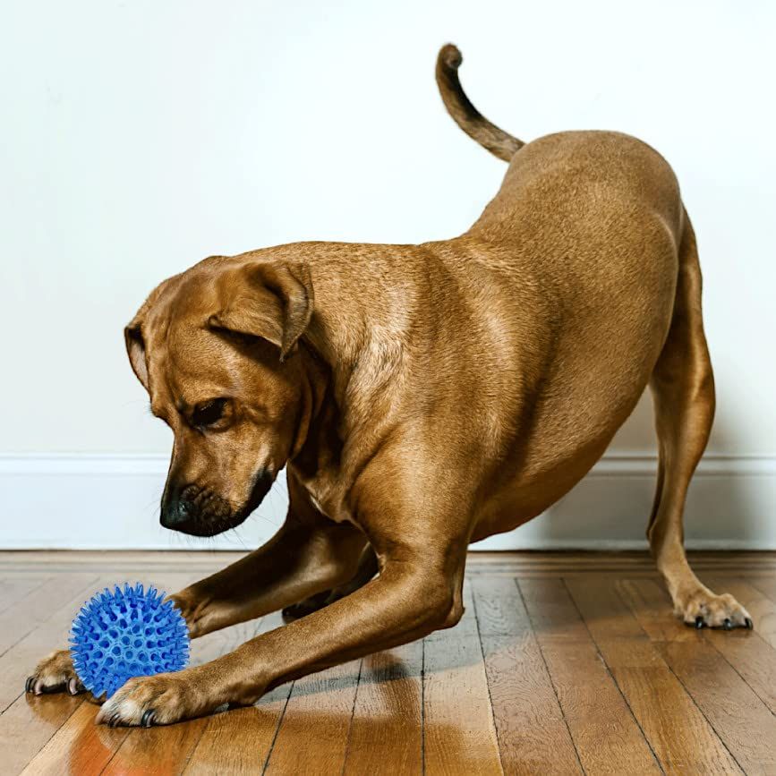 3.5inch Pet Squeaky Chewing Balls Dog Soft Stab Balls Cleaning Teeth Toys view 2